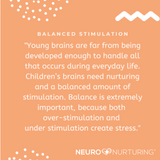 ED003 Balancing Brain Stimulation Set