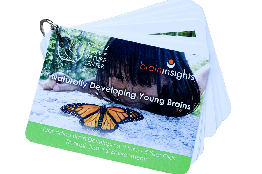 DN001 Naturally Developing Young Brains
