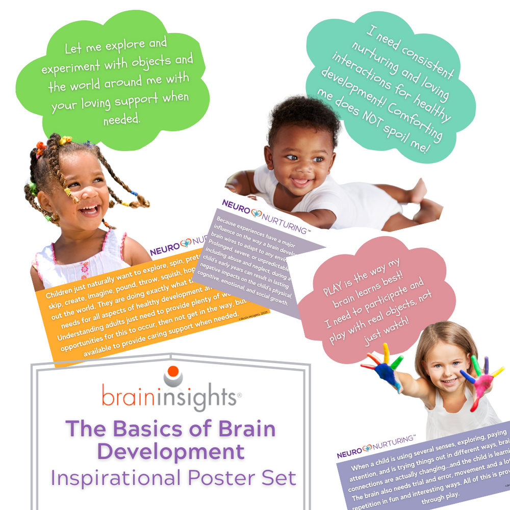 NN002-The Basics of Brain Development- Inspirational Posters Set